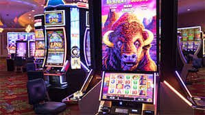 bet77